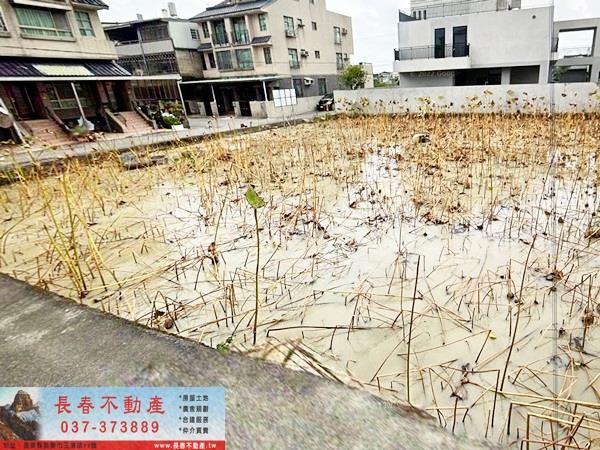 苗栗苗栗市農地-0