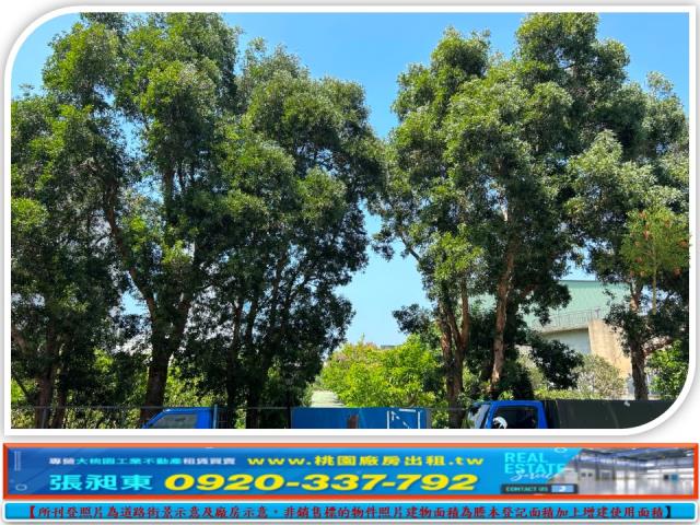 苗栗竹南工業地-0