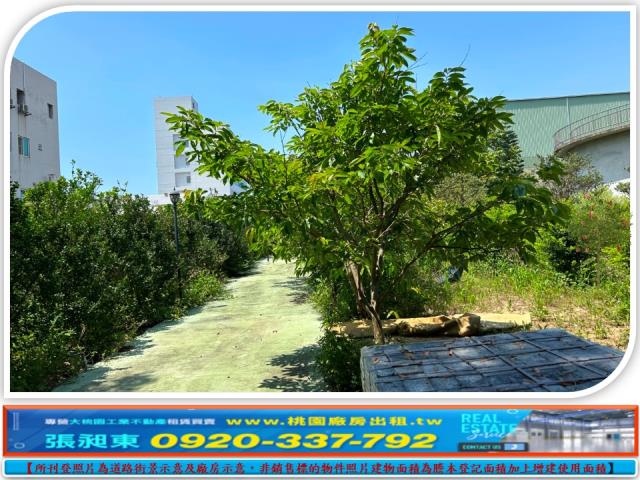 苗栗竹南工業地-1