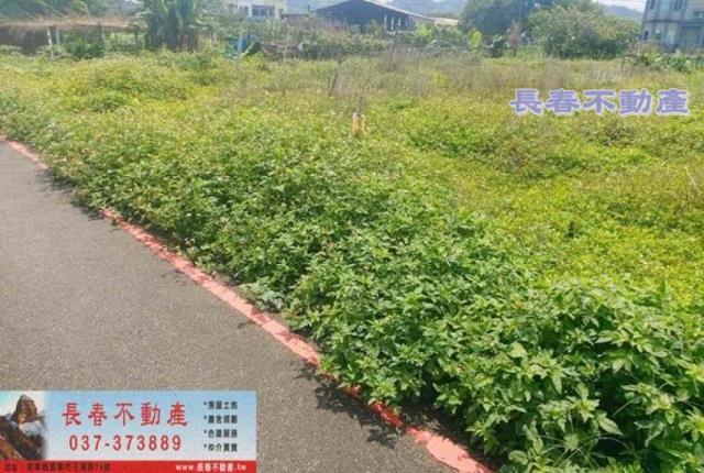 苗栗苗栗市農地-1