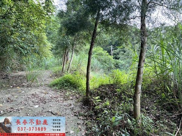 苗栗農地-2