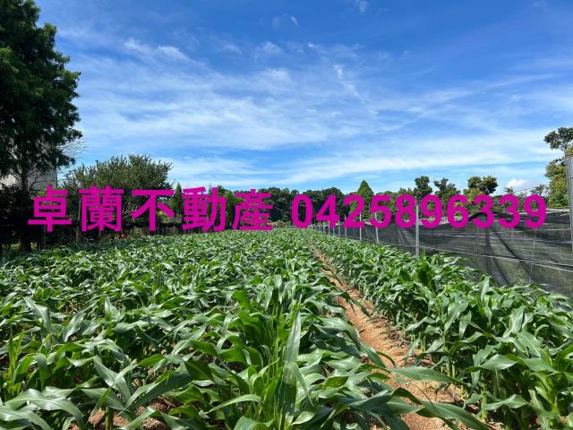 苗栗卓蘭農地-4
