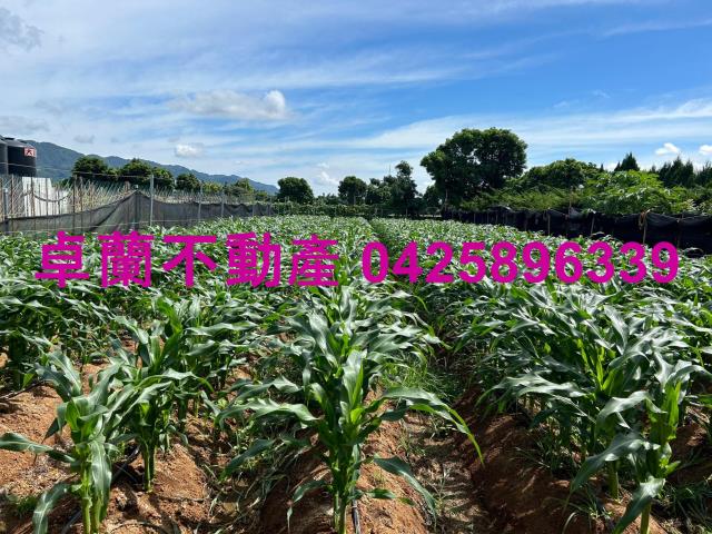 苗栗卓蘭農地-5