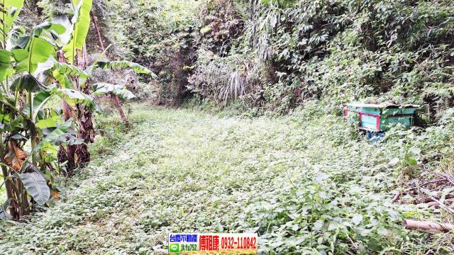 苗栗農地-7