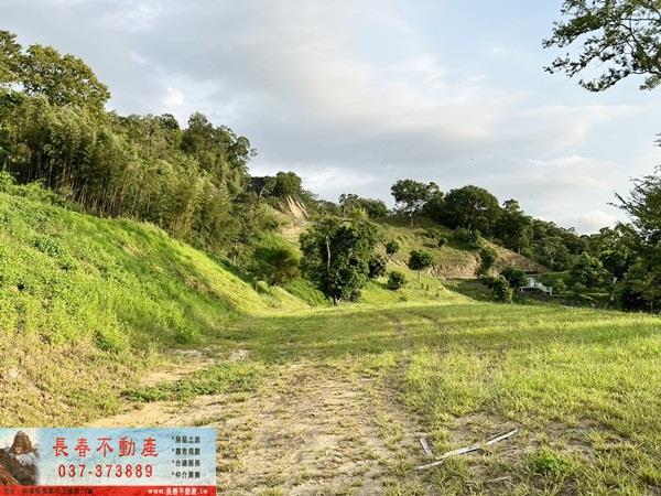 苗栗公館農地-9