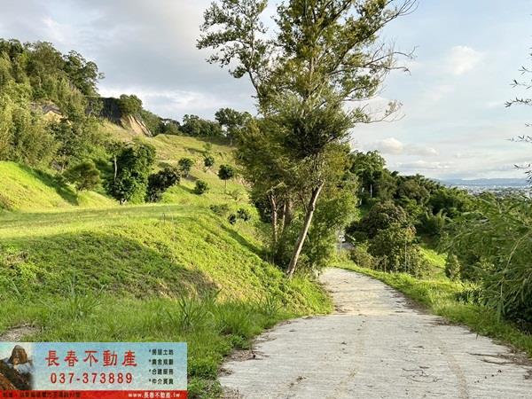 苗栗公館農地-10