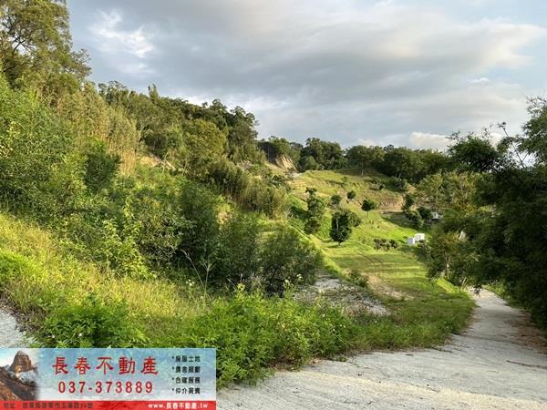 苗栗公館農地-13