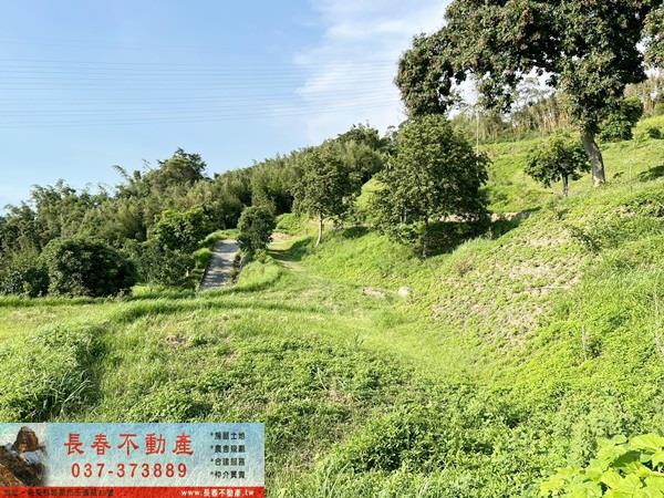 苗栗公館農地-2