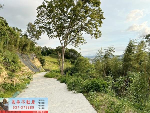 苗栗公館農地-7