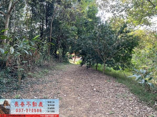 苗栗頭屋農地-4