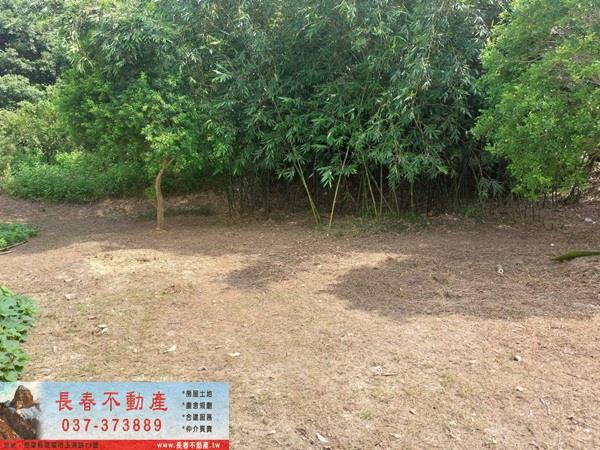 苗栗頭屋農地-1