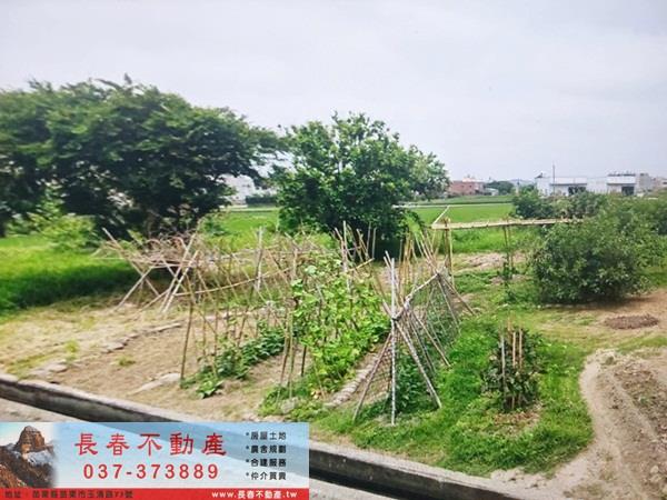 苗栗苑裡農地-2