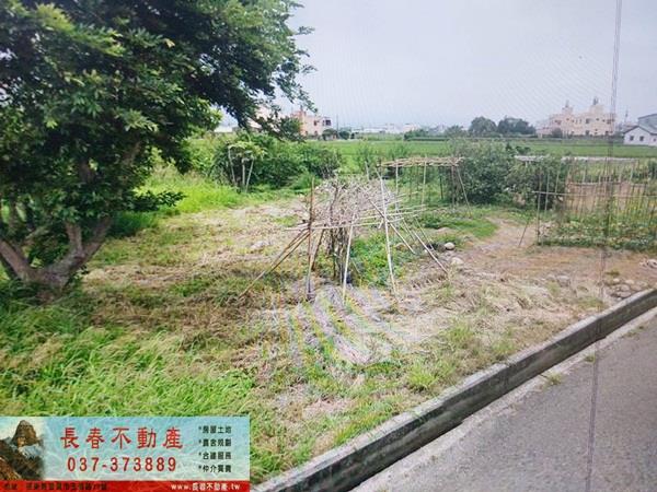 苗栗苑裡農地-3