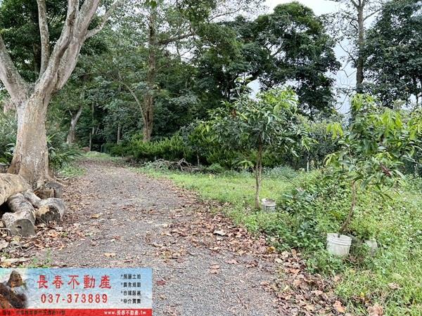 苗栗公館農地-3
