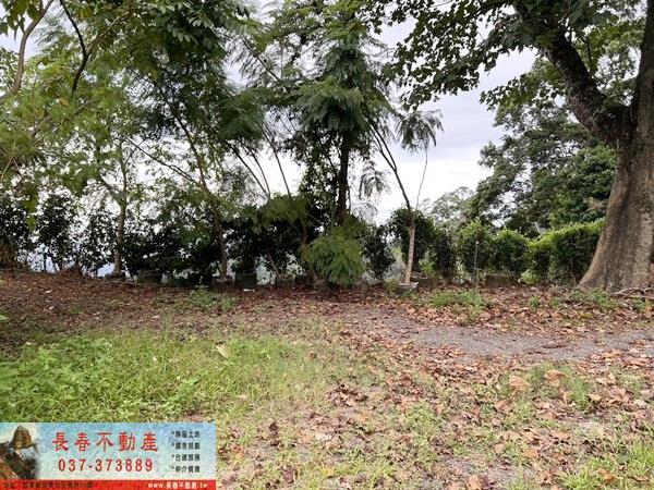 苗栗公館農地-5