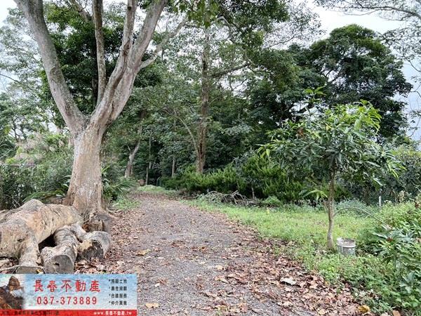 苗栗公館農地-6