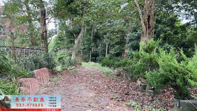 苗栗公館農地-7