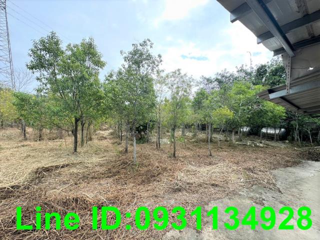 苗栗三義農地-2