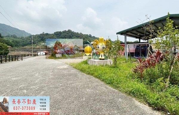 苗栗大湖農地-3