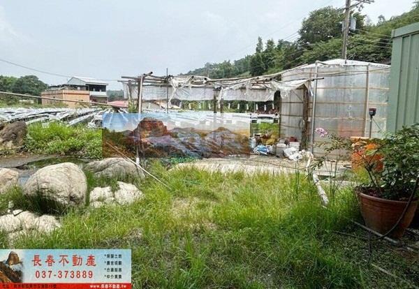 苗栗大湖農地-4