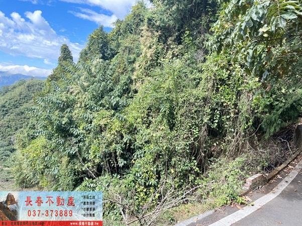 苗栗大湖農地-11