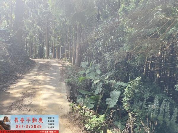 苗栗大湖農地-0