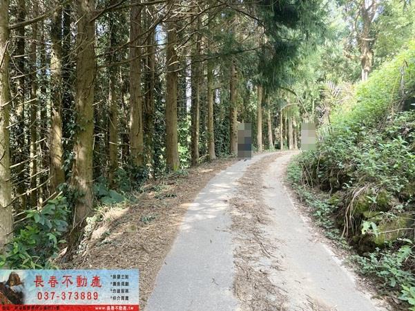 苗栗大湖農地-1