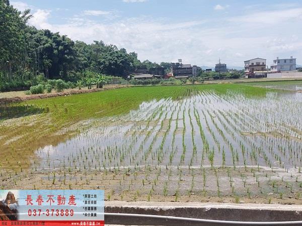 苗栗頭屋農地-0