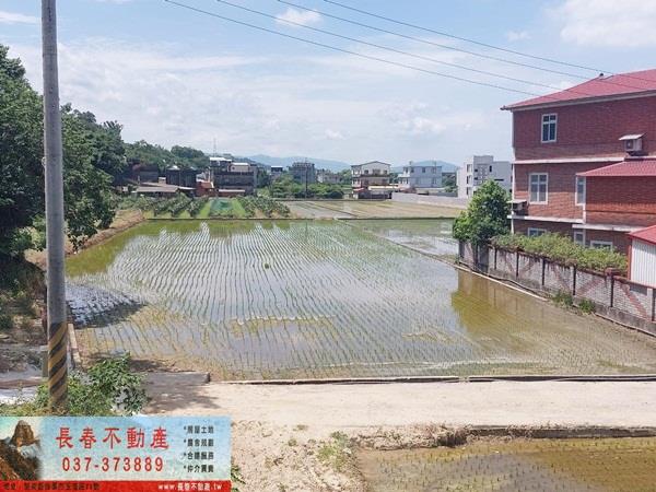 苗栗頭屋農地-3