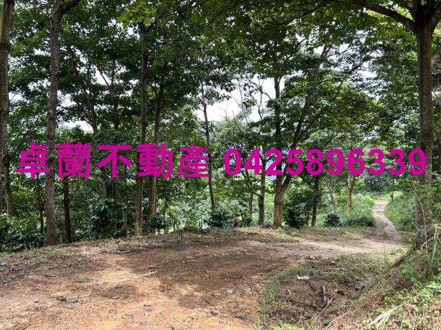 苗栗大湖農地-9