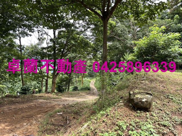 苗栗大湖農地-10