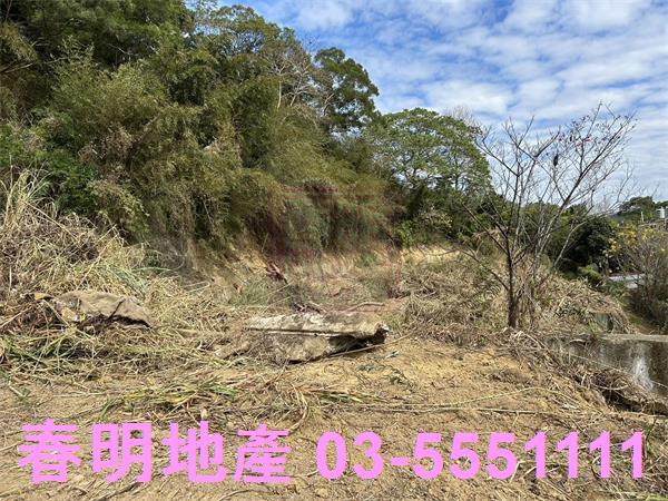 苗栗頭份建地-13