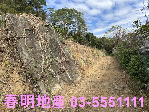 苗栗頭份建地-3