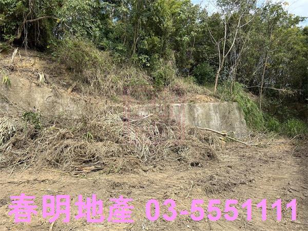 苗栗頭份建地-5