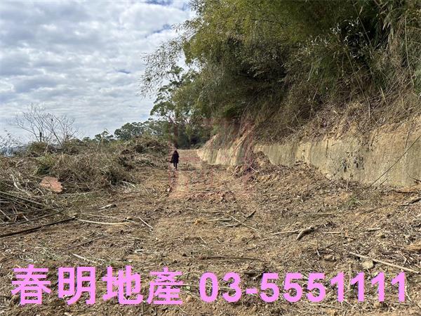 苗栗頭份建地-8
