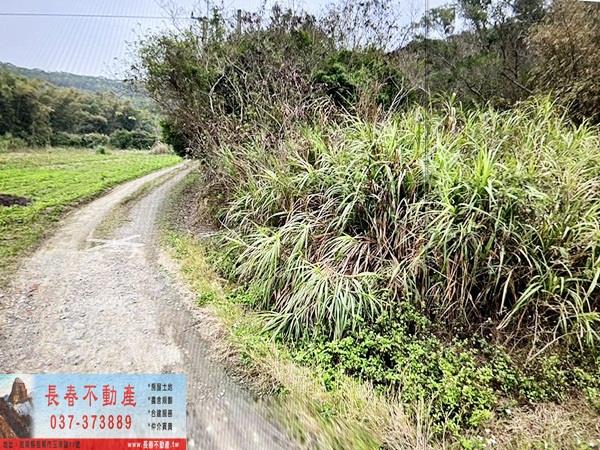 通霄農地-3