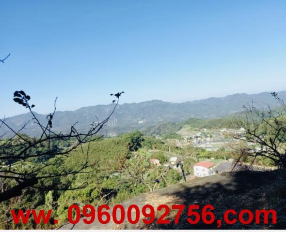 苗栗大湖農地-1