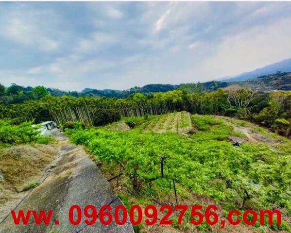 苗栗大湖農地-3