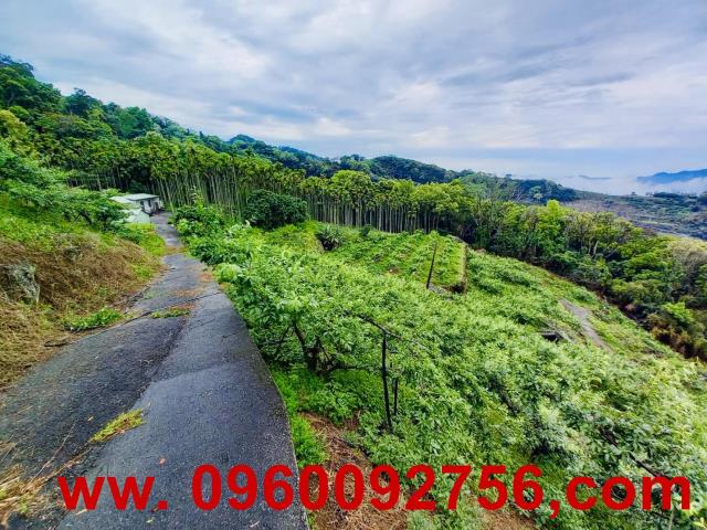 苗栗大湖農地-7