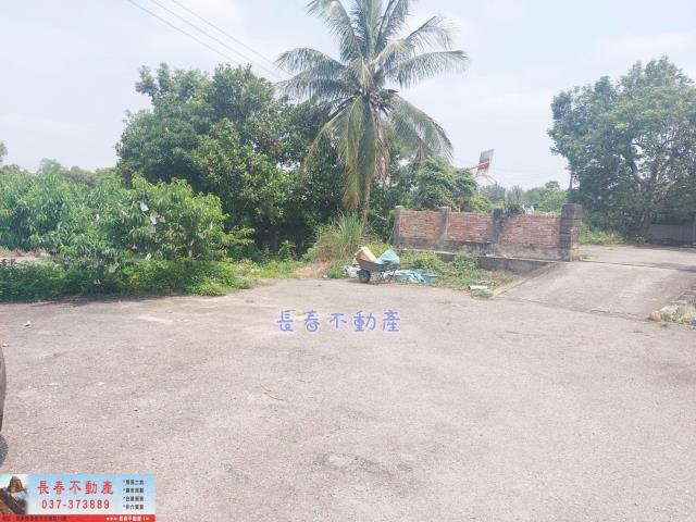 苗栗西湖農地-1
