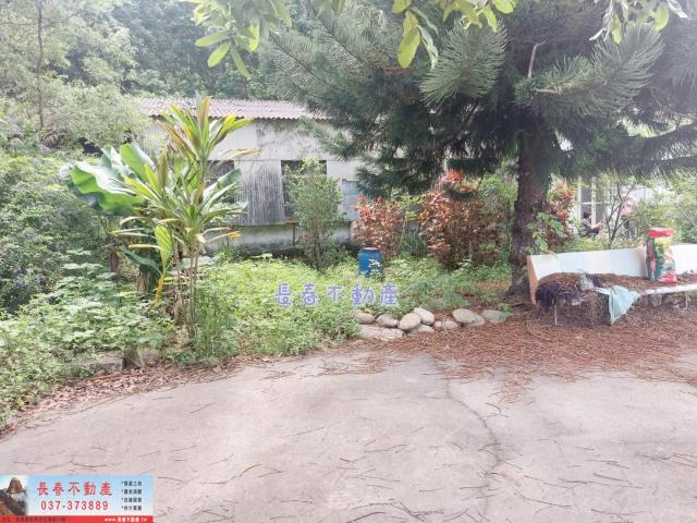 苗栗西湖農地-4