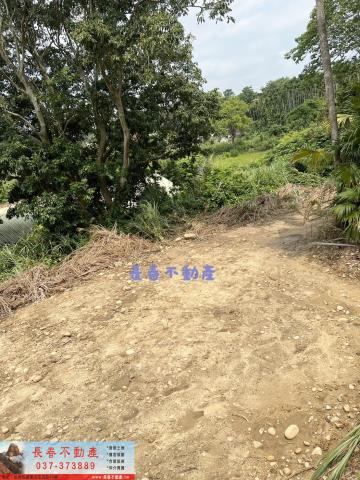 苗栗西湖農地-5