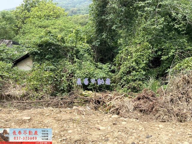 苗栗西湖農地-6