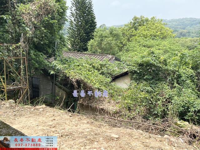 苗栗西湖農地-7