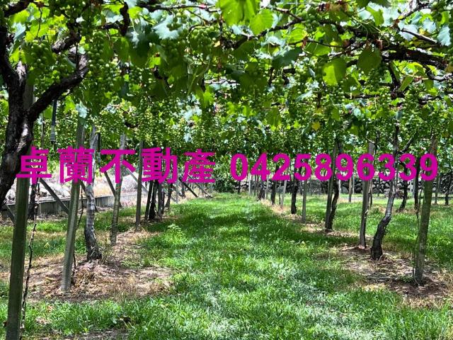 苗栗卓蘭農地-1