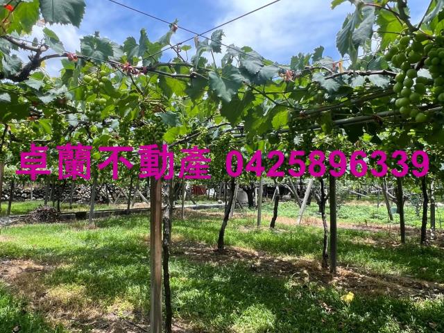 苗栗卓蘭農地-2