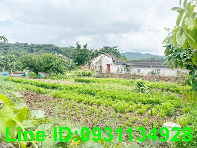 苗栗苑裡建地-0