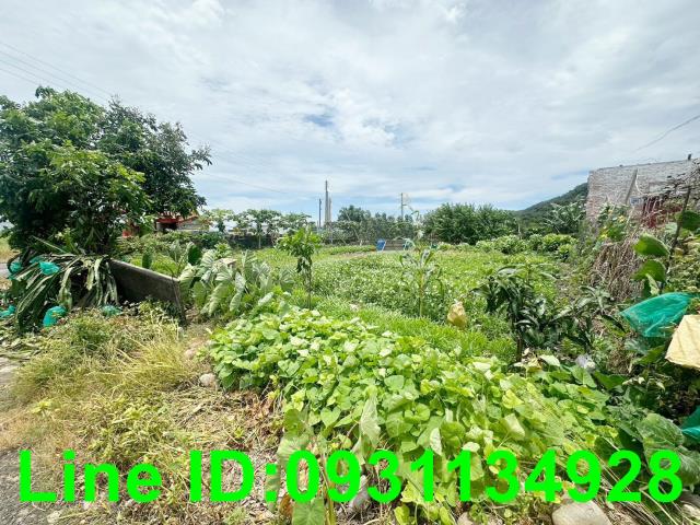 苗栗苑裡建地-1