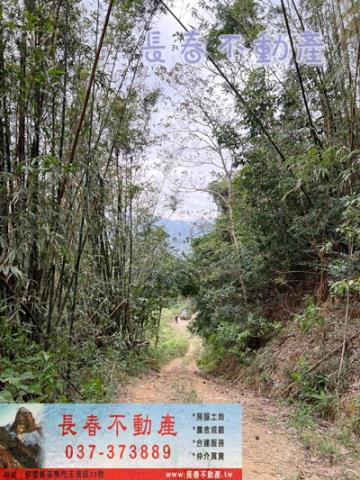 苗栗銅鑼農地-1