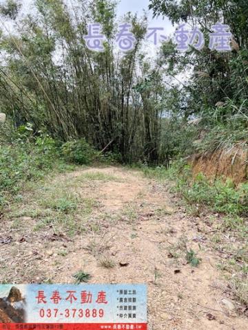 苗栗銅鑼農地-2